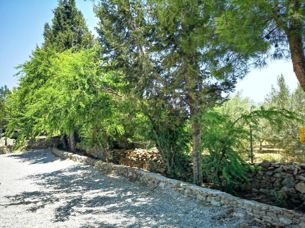Villa Chrysanthi Villa, Living In Nature Vlicha (Rhodes)
