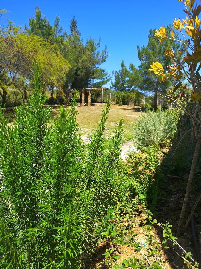 Chrysanthi Villa, Living In Nature Villa Vlicha (Rhodes)